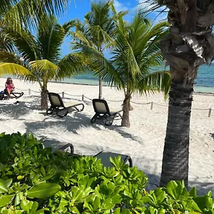  Apartment Beachfront Loft Amara Mexico