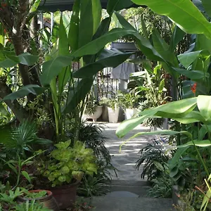 Sunny Garden Homestay