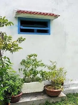 Local Beach Homestay Hoi An